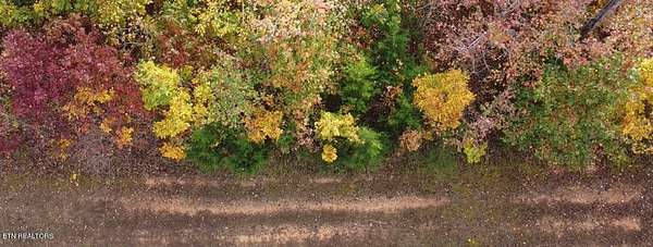 0.8 Acres of Land for Sale in Rockwood, Tennessee