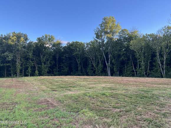 3.59 Acres of Residential Land for Sale in Lake Cormorant, Mississippi