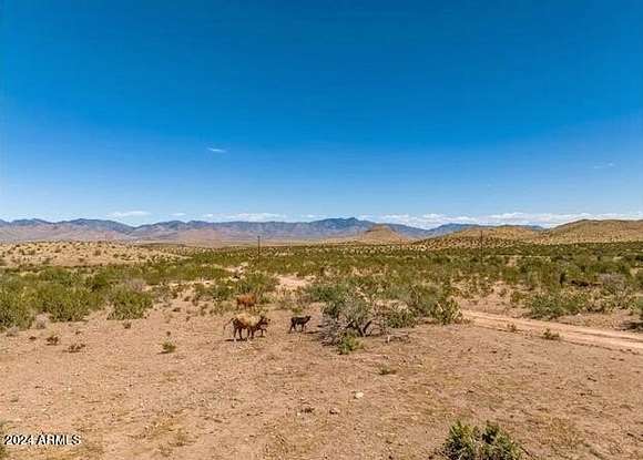 282 Acres of Land for Sale in White Hills, Arizona