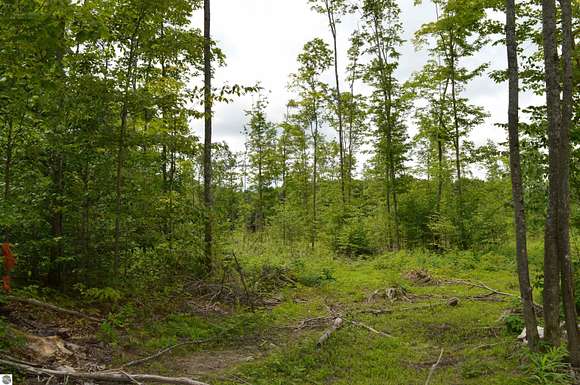 10 Acres of Recreational Land for Sale in Elmira, Michigan