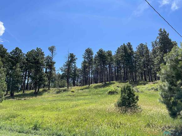 1.17 Acres of Residential Land for Sale in Rociada, New Mexico