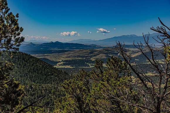 16.54 Acres of Recreational Land for Sale in Cotopaxi, Colorado