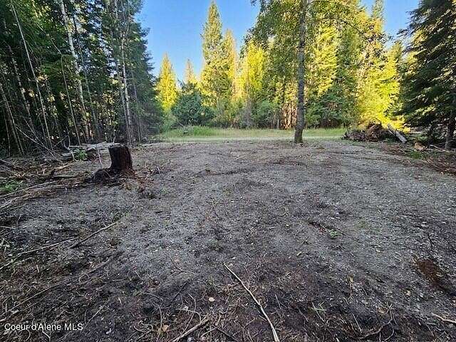 0.51 Acres of Residential Land for Sale in Bayview, Idaho