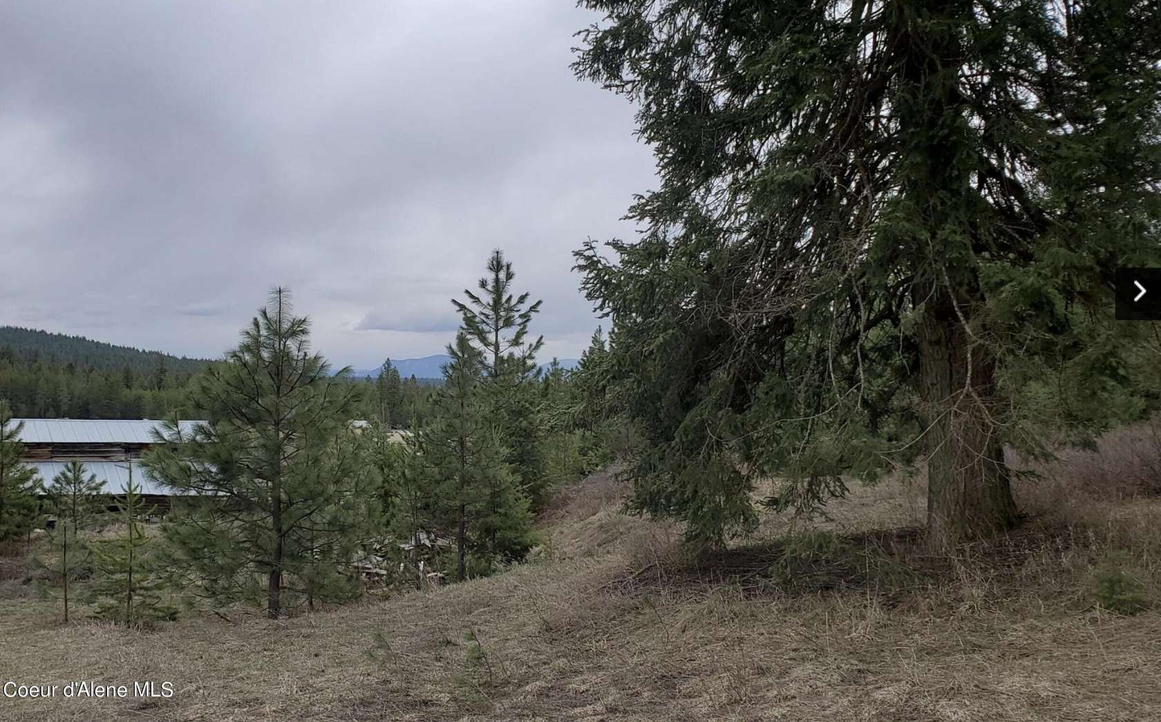 0.48 Acres of Land for Sale in Athol, Idaho