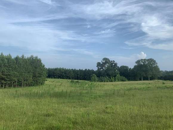 52.39 Acres of Recreational Land & Farm for Sale in Liberty, Mississippi