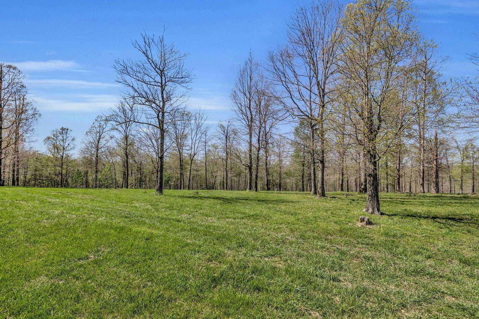 9.48 Acres of Land for Sale in Primm Springs, Tennessee