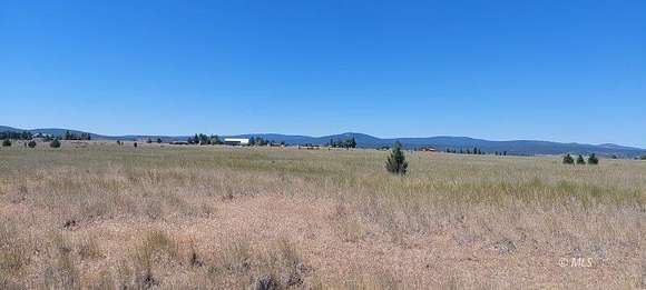 10 Acres of Land for Sale in Alturas, California