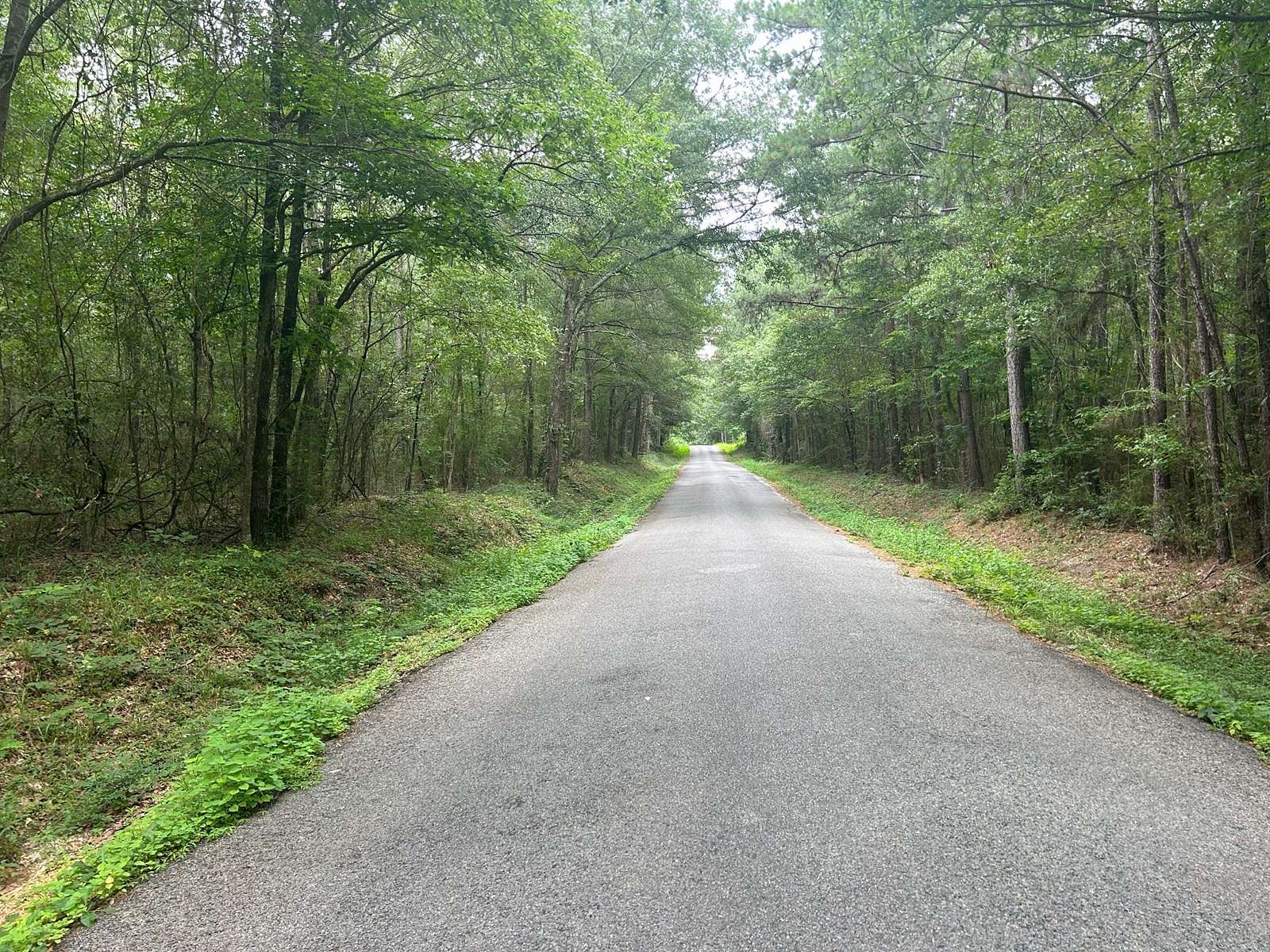 7.5 Acres of Land for Sale in Seminary, Mississippi