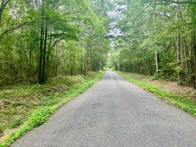 10 Acres of Land for Sale in Seminary, Mississippi