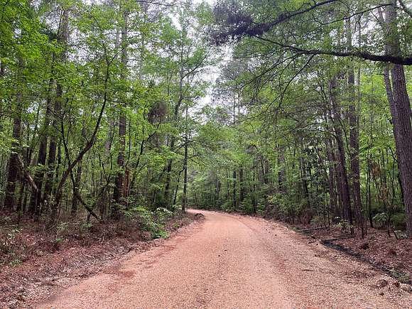 26.5 Acres of Land for Sale in Camden, Arkansas