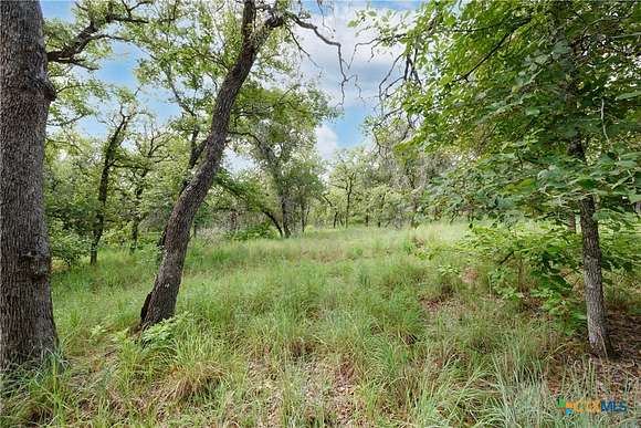29.461 Acres of Recreational Land & Farm for Sale in Seguin, Texas