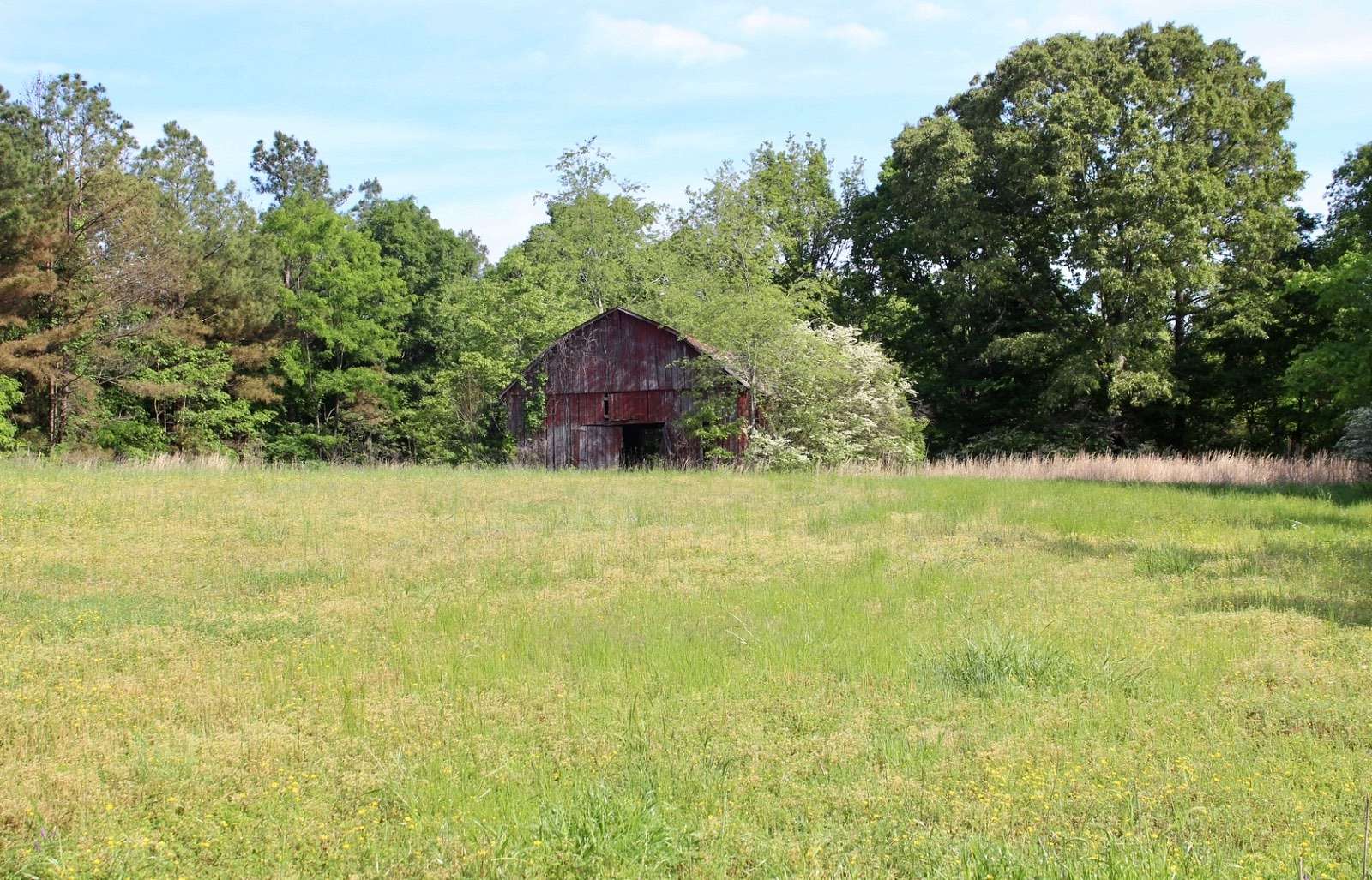 43 Acres of Recreational Land & Farm for Sale in Lamar, Mississippi