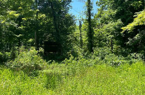 40 Acres of Recreational Land for Sale in Middleton, Tennessee