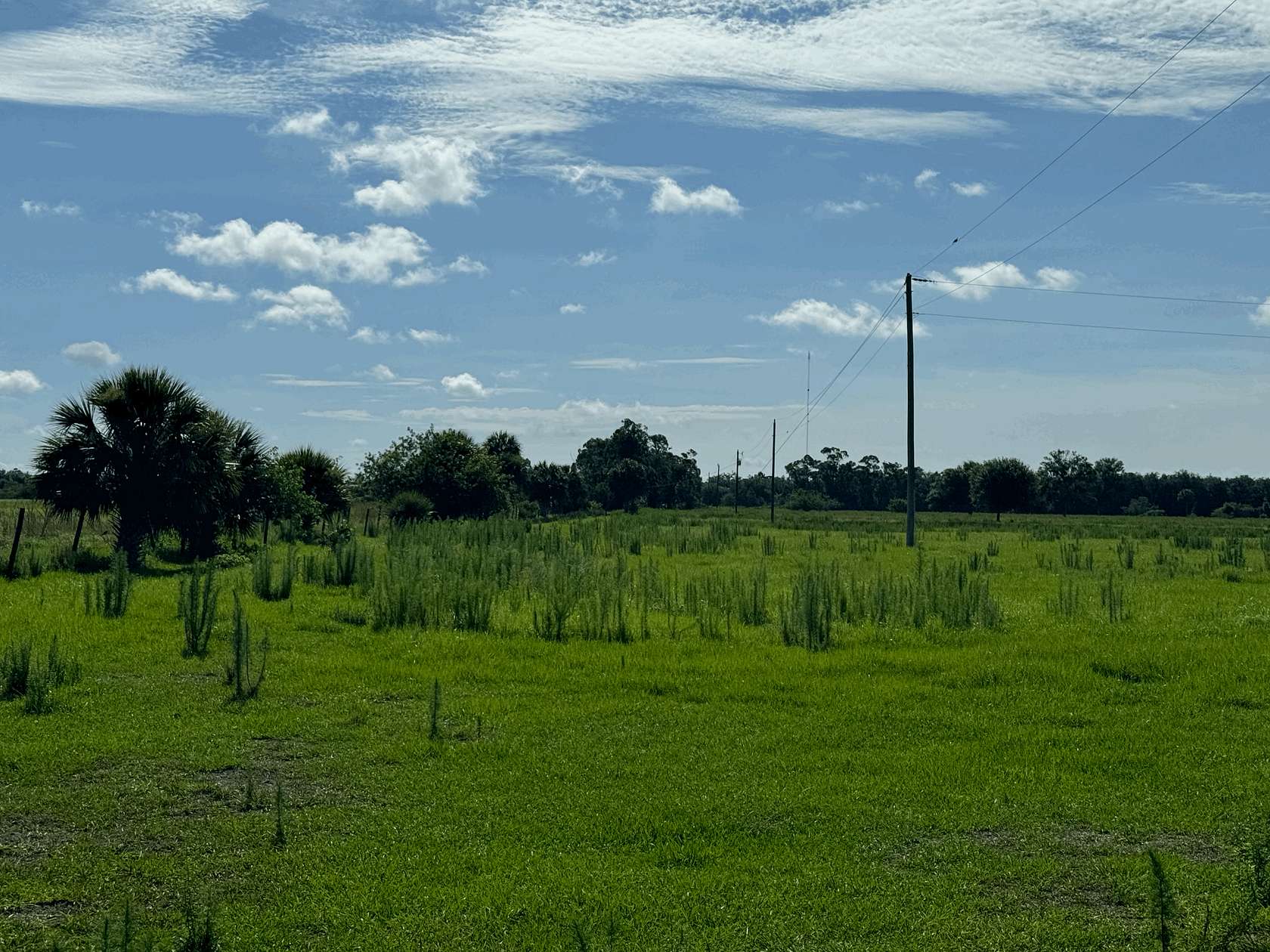 30 Acres of Land for Sale in Okeechobee, Florida
