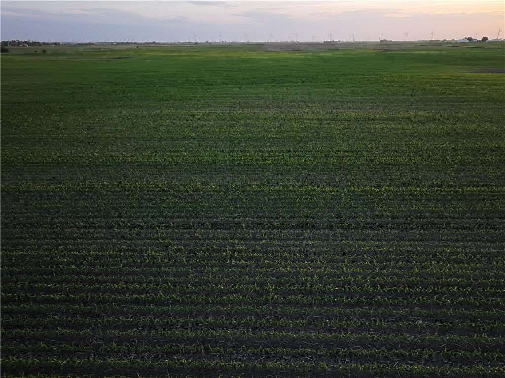 160 Acres of Agricultural Land for Sale in Zearing, Iowa