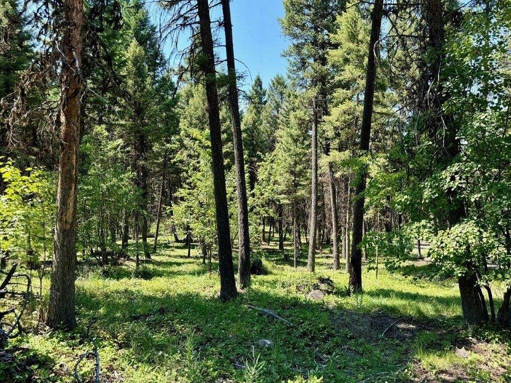 2.81 Acres of Land for Sale in Seeley Lake, Montana