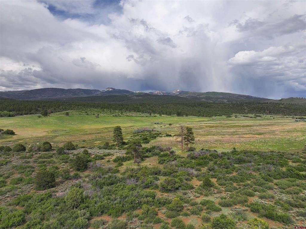 37.42 Acres of Agricultural Land for Sale in Mancos, Colorado