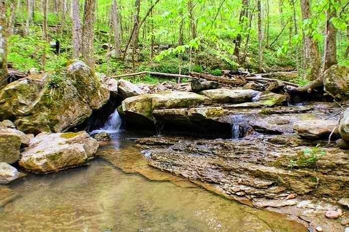 95 Acres of Recreational Land for Sale in Dunlap, Tennessee