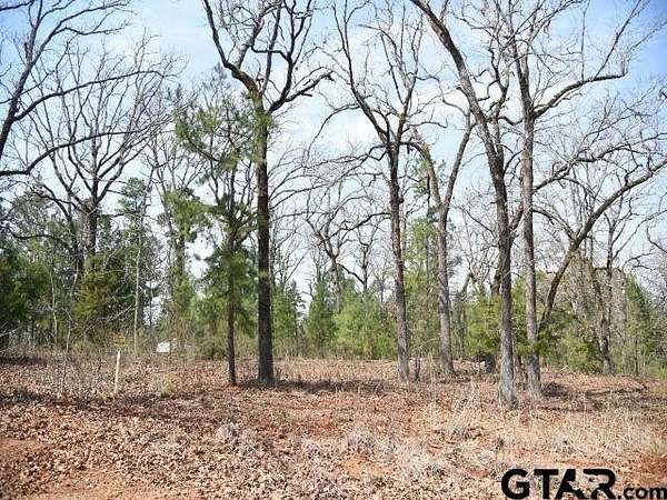 1.32 Acres of Land for Sale in Montalba, Texas