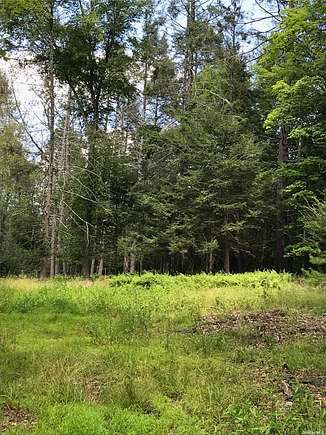 5 Acres of Residential Land for Sale in Cuddebackville, New York