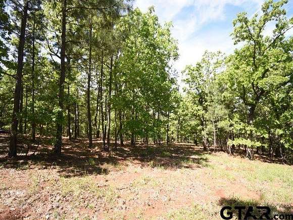 1.719 Acres of Residential Land for Sale in Montalba, Texas