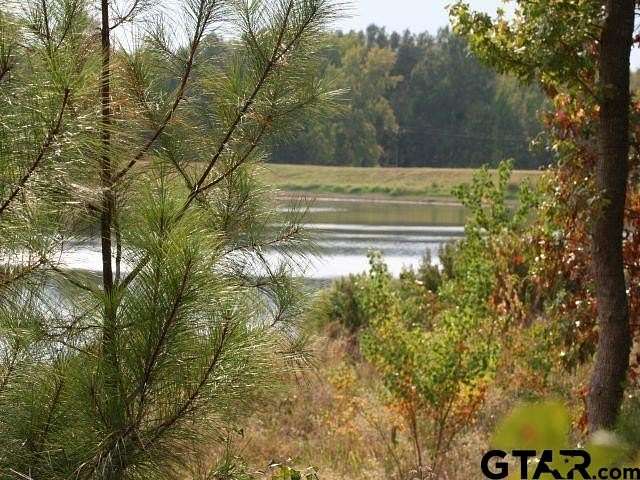 1.72 Acres of Land for Sale in Montalba, Texas