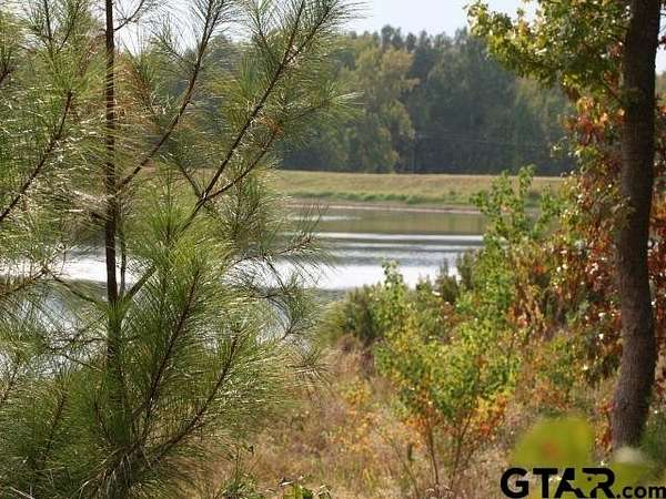 1.72 Acres of Land for Sale in Montalba, Texas