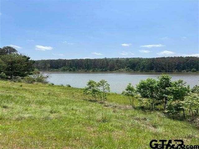 1.15 Acres of Land for Sale in Montalba, Texas