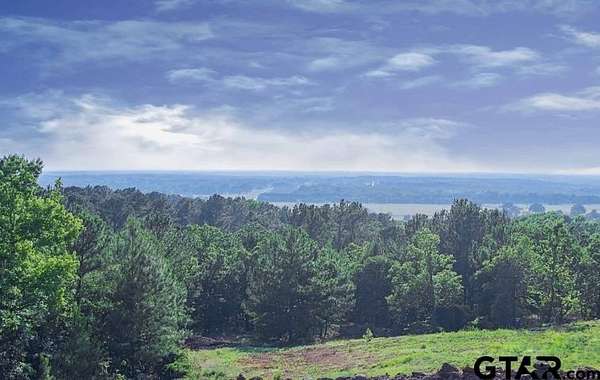 0.9 Acres of Land for Sale in Montalba, Texas
