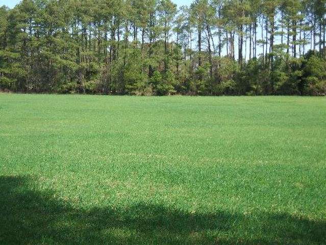 3 Acres of Land for Sale in Horntown, Virginia