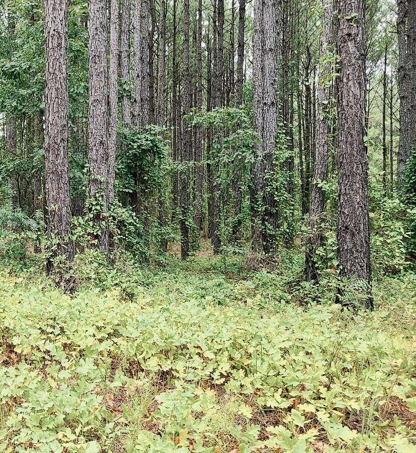 4.85 Acres of Residential Land for Sale in Keysville, Georgia