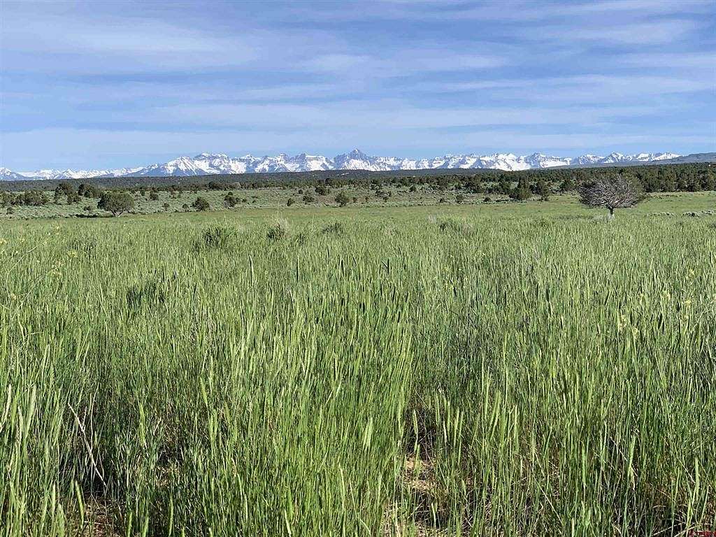 37.03 Acres of Recreational Land for Sale in Montrose, Colorado