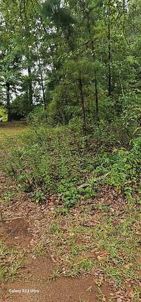 Residential Land for Sale in Georgetown, Georgia