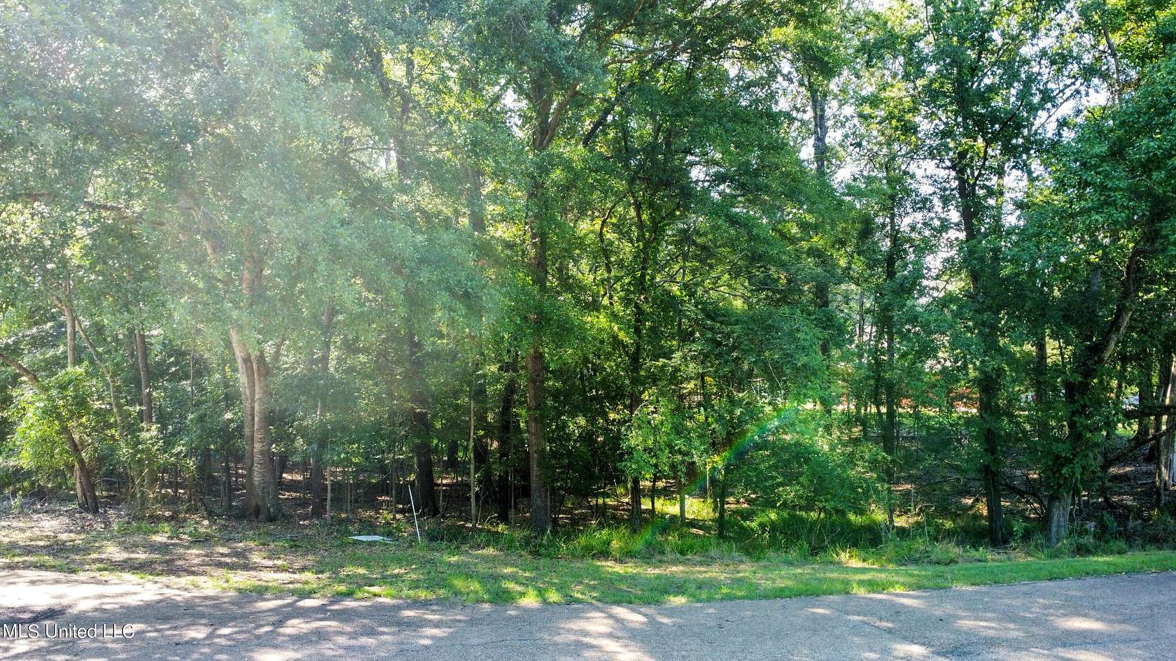 1 Acres of Residential Land for Sale in Clinton, Mississippi