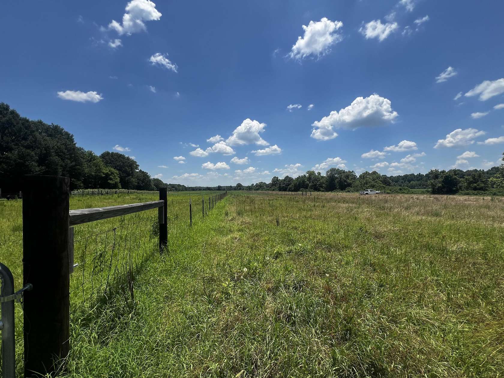 45 Acres of Agricultural Land for Sale in Pontotoc, Mississippi