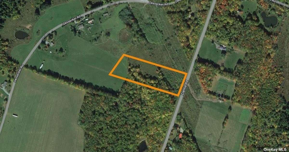 5 Acres of Residential Land for Sale in Hardenburgh Town, New York