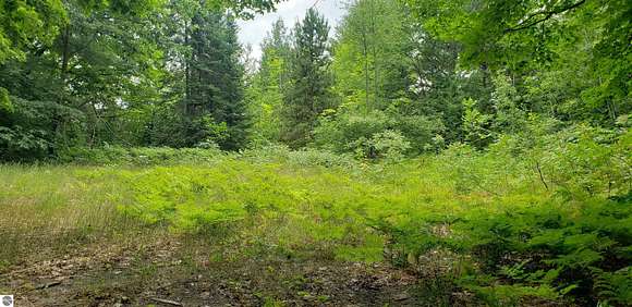 0.49 Acres of Residential Land for Sale in Kewadin, Michigan