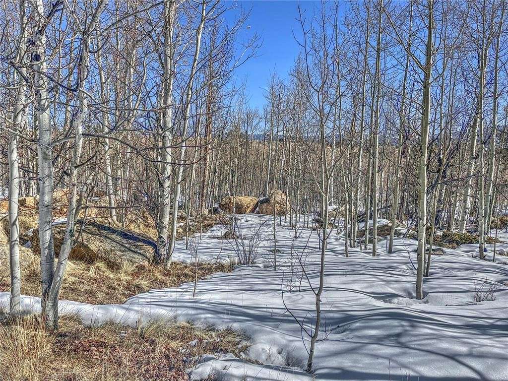 2 Acres of Residential Land for Sale in Hartsel, Colorado