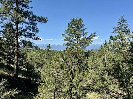 16.2 Acres of Recreational Land for Sale in Westcliffe, Colorado