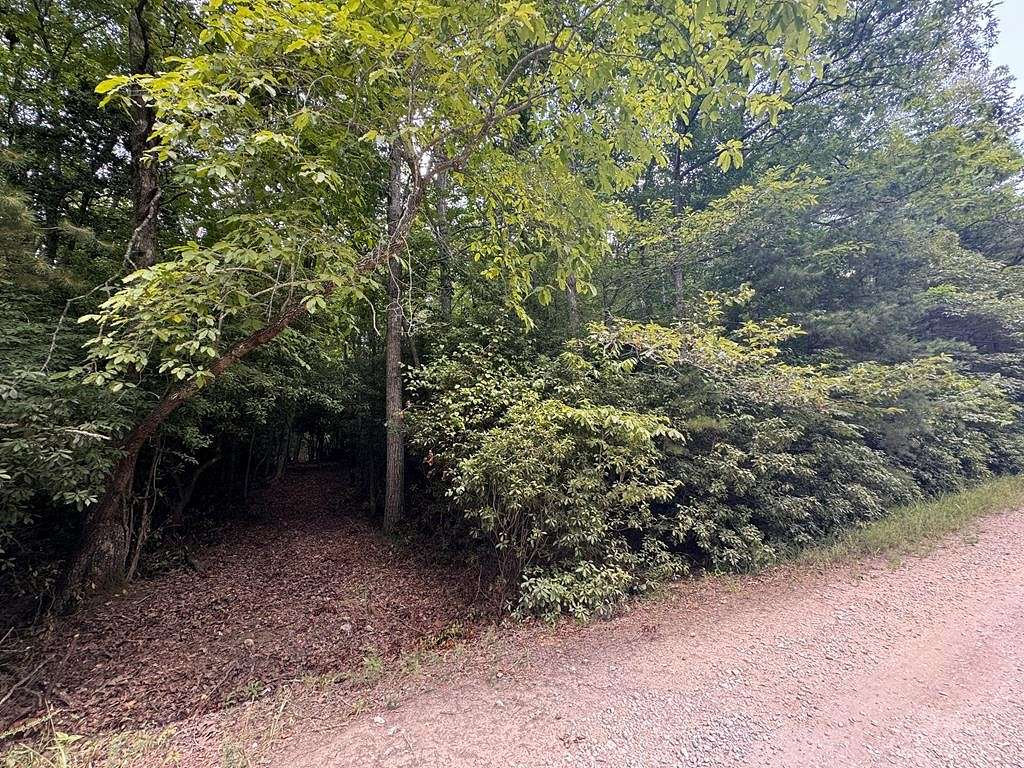 3.48 Acres of Residential Land for Sale in Morganton, Georgia