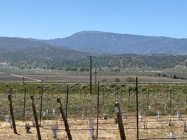 20 Acres of Land for Sale in Tehachapi, California