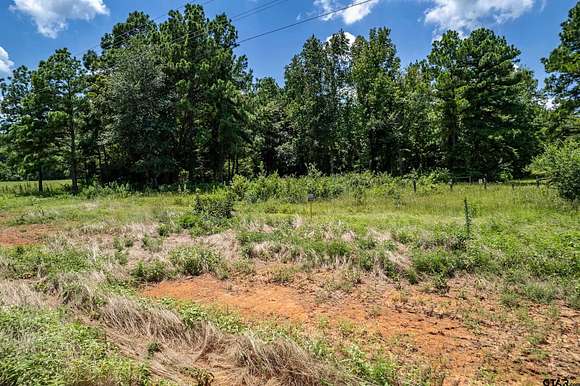 3.288 Acres of Residential Land for Sale in Winona, Texas