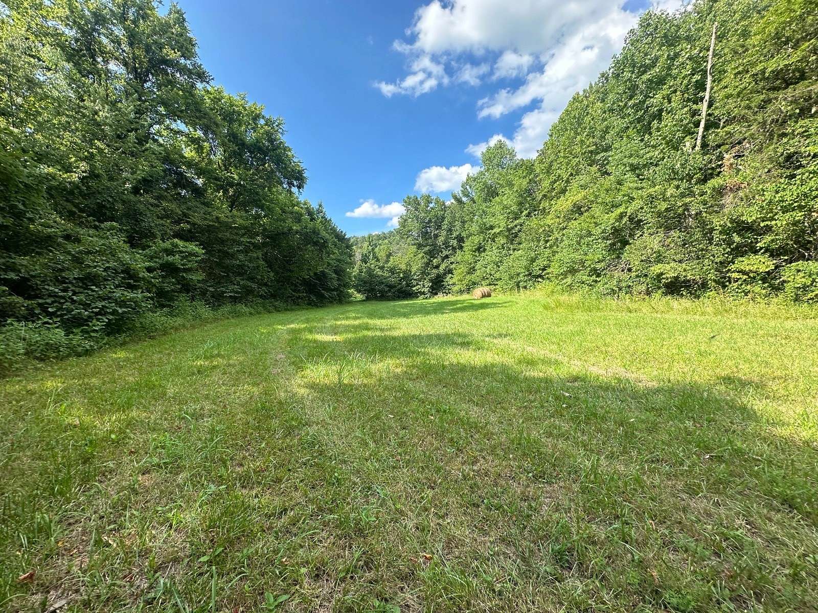 94.35 Acres of Land for Sale in Burkesville, Kentucky