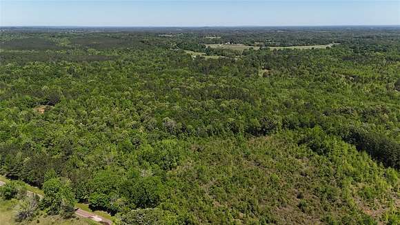 30.5 Acres of Recreational Land for Sale in Overton, Texas