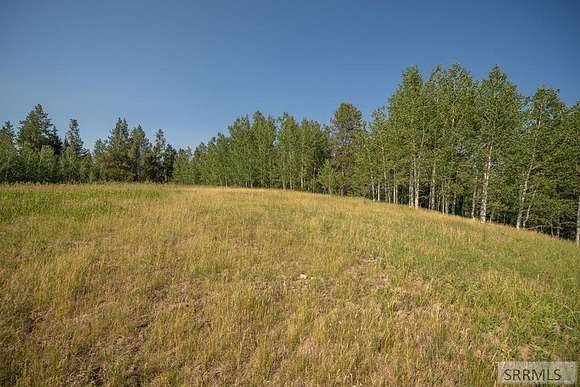 2.73 Acres of Residential Land for Sale in Ashton, Idaho