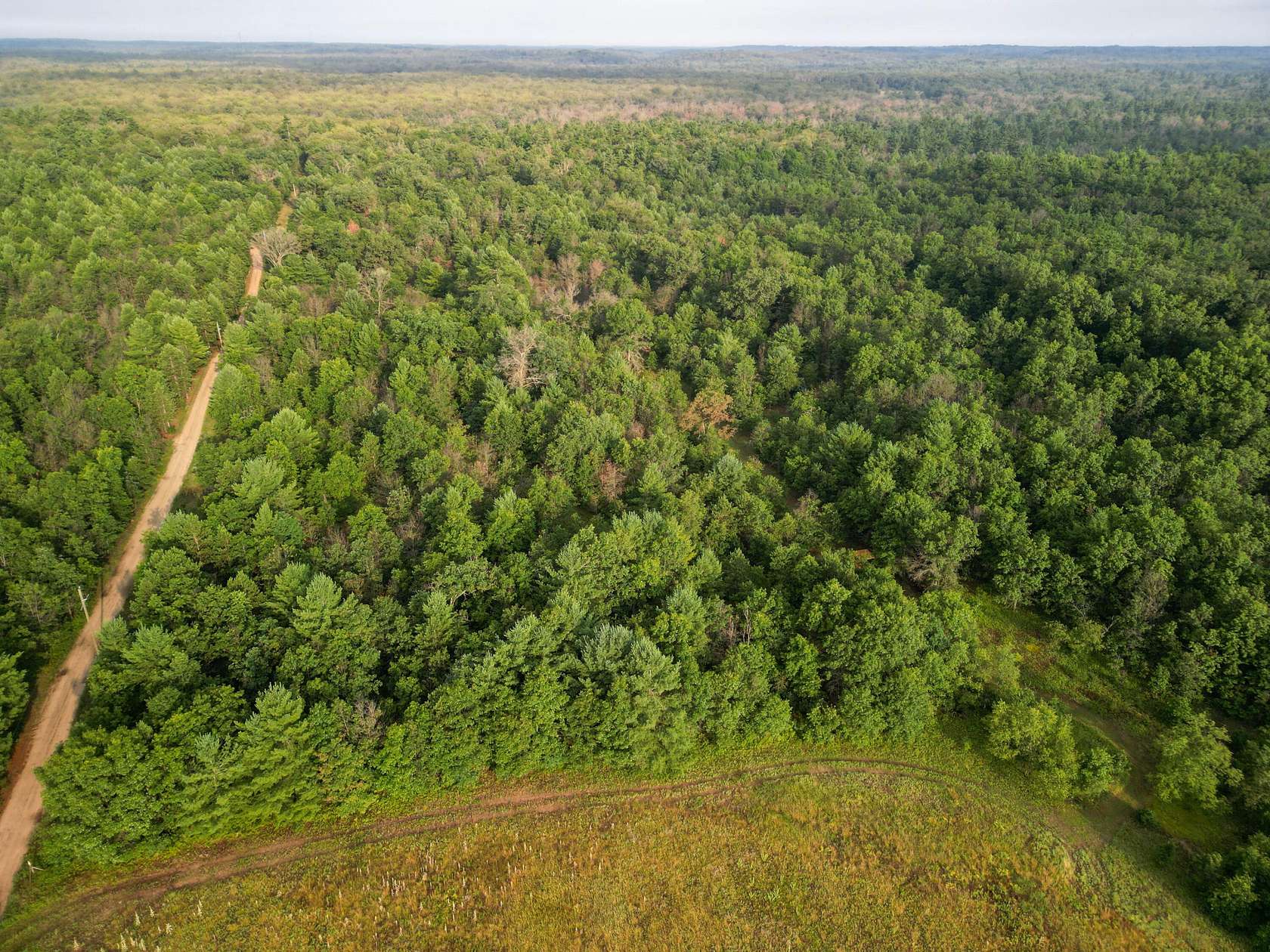 40 Acres of Recreational Land for Sale in Newaygo, Michigan