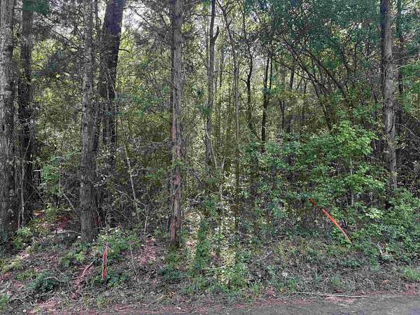 44 Acres of Recreational Land for Sale in Henderson, Texas