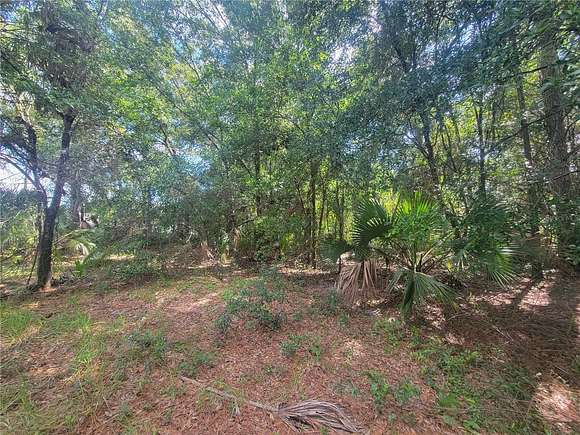 0.25 Acres of Land for Sale in Crystal River, Florida