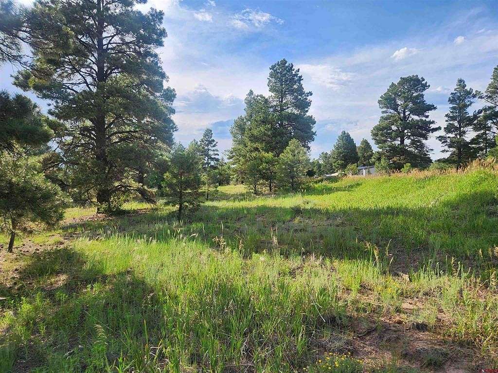 0.11 Acres of Residential Land for Sale in Pagosa Springs, Colorado