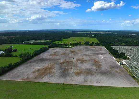 51 Acres of Agricultural Land for Sale in Live Oak, Florida